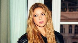 Quién es Daniel Valtier, el acosador de Shakira, que fue detenido en Miami