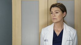 Ellen Pompeo como Meredith Grey