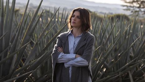 Monarca cuenta con dos temporadas en la plataforma de streaming líder