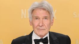 ¿Se retira Harrison Ford? ¿Se retira Harrison Ford?