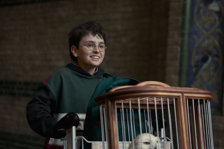 La serie de Harry Potter se estrena este año La serie de Harry Potter se estrena este año