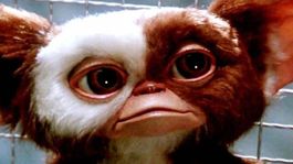 Gizmo podría volver