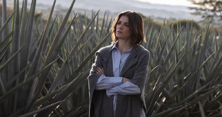 Monarca cuenta con dos temporadas en la plataforma de streaming líder