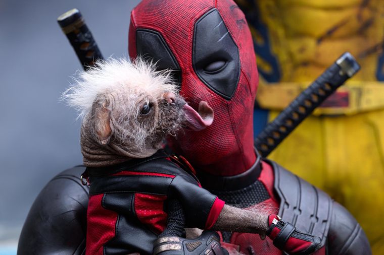 Deadpool y Dogpool demostrando su amor en Deadpool & Wolverine.