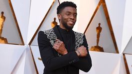 disney le hizo el homenaje mas emotivo a pantera negra