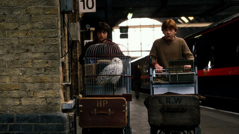 La serie de Harry Potter está en plena producción. 