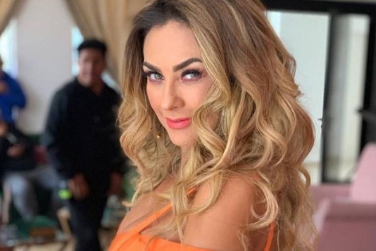 Aracely Arámbula protagonizó un tremendo escándalo con una reportera.