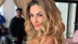 aracely arambula conquisto a todos con un divertido video en malla