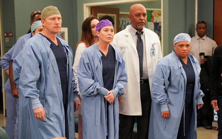 Greys Anatomy llegaría a su fin en la temporada 19.