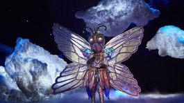 mask singer: revelan que mariposa era una famosa politica espanola