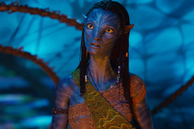 El cineasta dejó entrever qué podemos esperar de su épico mundo cinematográfico.