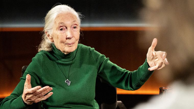 Jane Goodall en su última entrevista publicada por Netflix.