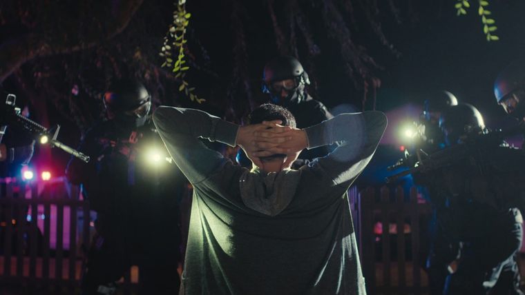 Red de engaños: Muerte, mentiras e internet llegó la semana pasada a Netflix.