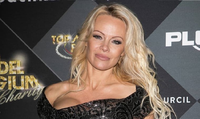 Pamela Anderson se encuentra en uno de sus mejores momentos profesionales.