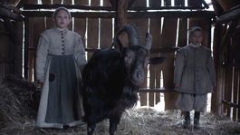 Los animales tendrán su preponderancia en esta tremenda película