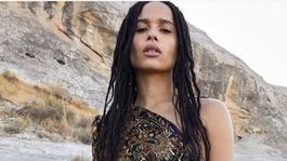 zoe kravitz poso con una remera mojada y deslumbro a sus seguidores zoe kravitz poso con una remera mojada y deslumbro a sus seguidores