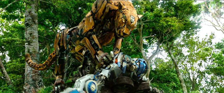 Cheetor y sus compañeros bestias no se pierden la acción