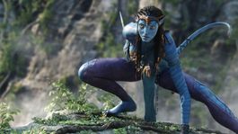 Neytiri y los NaVi regresan en septiembre