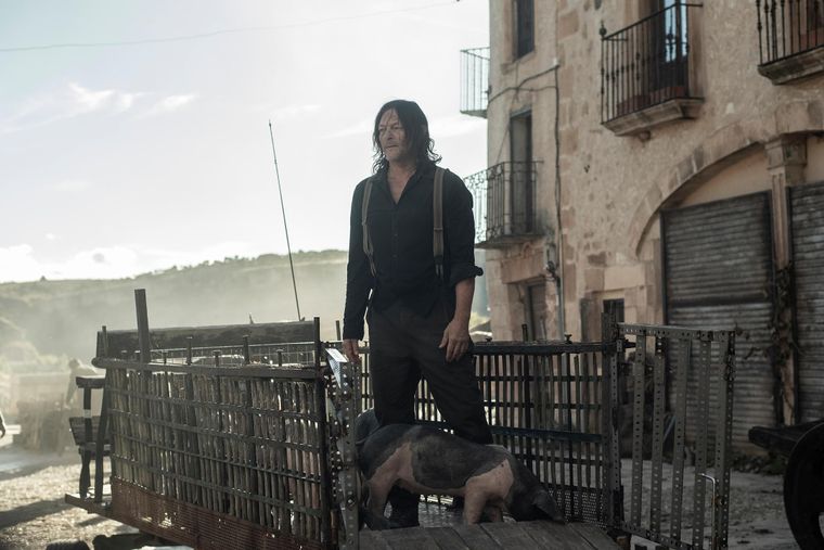 the-walking-dead-dead-daryl-dixon-norman-reedus-pigs