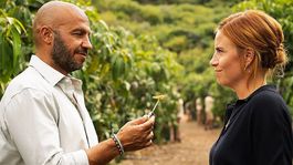 Mango se ha ubicado entre lo más visto de Netflix Mango se ha ubicado entre lo más visto de Netflix