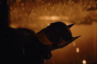 Robert Pattinson como el Murciélago en la primera película de Matt Reeves