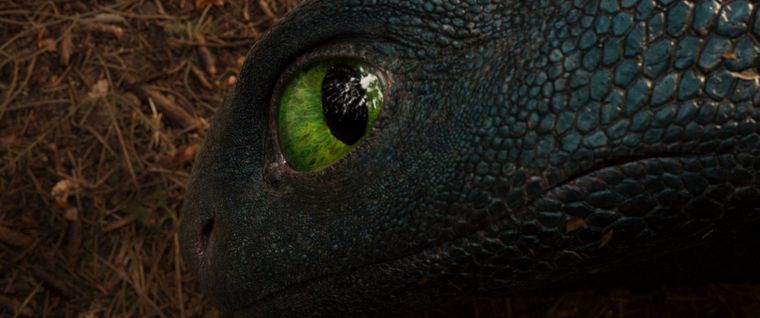 La mirada penetrante del Furia Nocturna