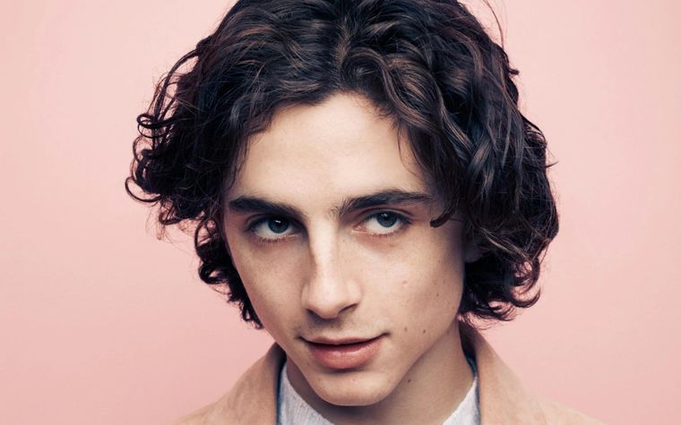 Timothée Chalamet estuvo a punto de aparecer en Barbie.