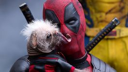 Deadpool y Dogpool demostrando su amor en Deadpool & Wolverine.