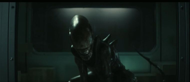 El xenomorfo regresa pronto...