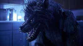 Que Ver | Los Hombres Lobo al acecho