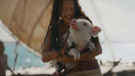 Moana y Pua listos para su aventura live-action.