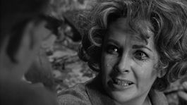 ¿Quién teme a Virginia Woolf? fue todo un hito en la carrera de la actriz, ya que le dio el segundo Oscar de su carrera y le dio un lugar de privilegio en la industria