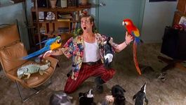 El rol por el cuál descubrimos a Jim Carrey. El rol por el cuál descubrimos a Jim Carrey.