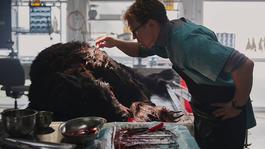 Lobo vikingo arrasa en Netflix