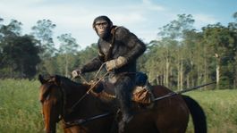Noa el protagonista de El Reino del Planeta de los Simios