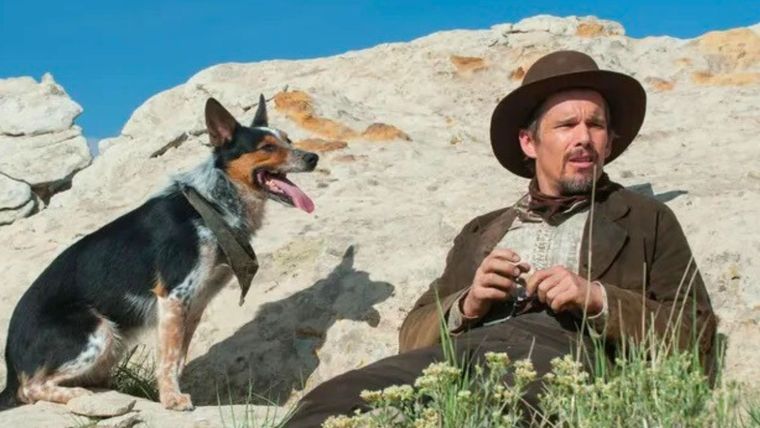 El valle de la venganza (2016), dirigida por Ti West.