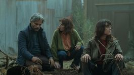 Cortafuego es uno de los estrenos destacados de la semana Cortafuego es uno de los estrenos destacados de la semana