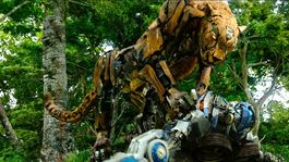 Cheetor y sus compañeros bestias no se pierden la acción