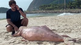 Que Ver | Esta producción brasileña tiene dos temporadas