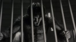 El especial de terror es bueno, pero tiene un problema