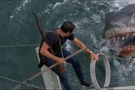 El Jefe Brody (Roy Scheider) luchando contra Bruce en la recordada Tiburón (Jaws) de 1975.
