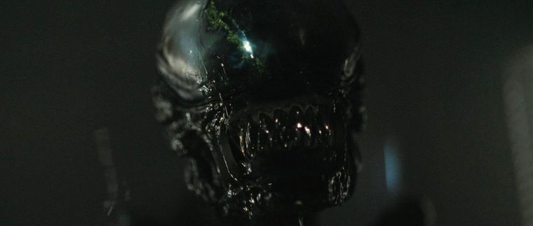 El xenomorfo llega a HBO con tres de sus películas, las más aclamadas.