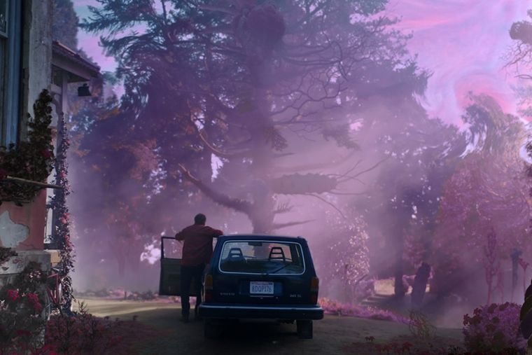 El color es protagonista en esta gran película