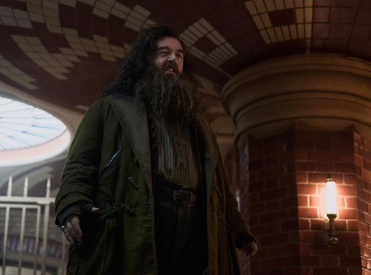 Nick Frost como el Rubeus Hagrid de la serie de Harry Potter.&nbsp;