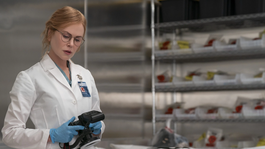 Que Ver | scarpetta -