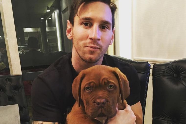 Messi contó dónde esta Hulk, su perro.