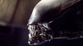 Nuevas caras para el regreso de los xenomorfos