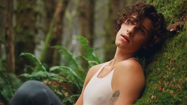 Shawn Mendes presentó este lunes su documental en Netflix