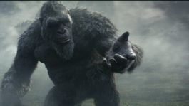 Kong necesita la ayuda de Godzilla