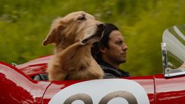 Estrenada en 2019, El arte de vivir bajo la lluvia es una tierna comedia dramática sobre Enzo y su amo Denny